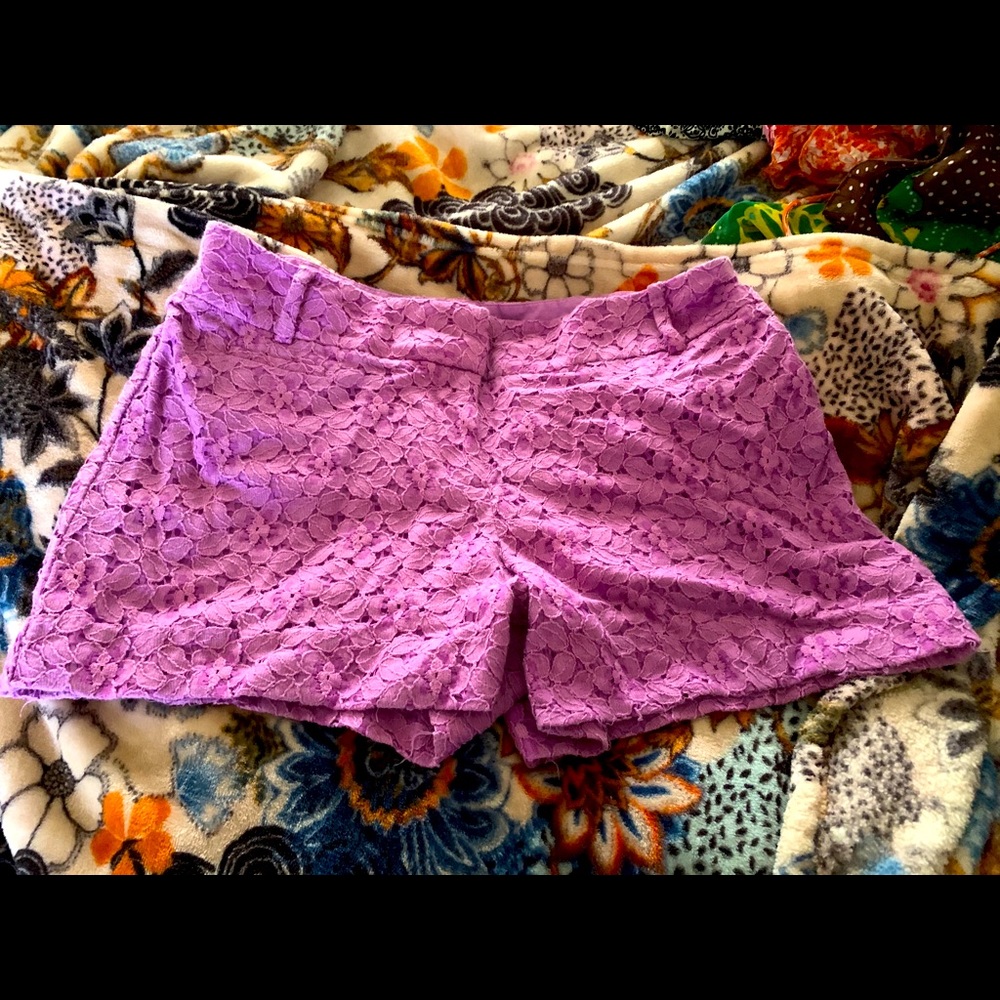 Loft shorts